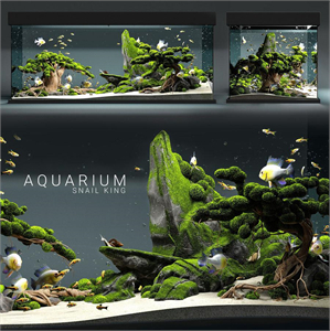 Aquarium snail king